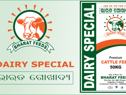 dairy special