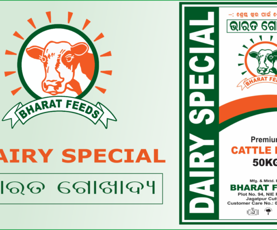 dairy special