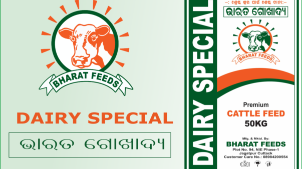 dairy special